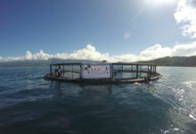 Tahiti Fish Aquaculture