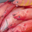 fresh Fish. paru