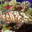 Kaina Fresh Fish - Cobia 2. Hapuu