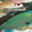 Kaina Fresh Fish - Cobia 2. Totoke