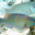 Kaina Fresh Fish - Cobia 2. Perroquet