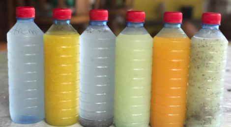 Coco frais Tahiti. Eau citronnée
