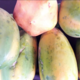 Le potager BIO de JB. Papaye