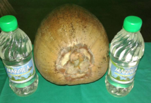 Usine d'huile vierge de coco de Tikehau