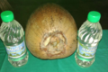 Usine d'huile vierge de coco de Tikehau