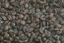 Ferme Permacole de Tipapa. Café