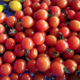 Clos masure du p'tit caux. tomates cerises