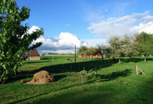 Clos masure du p'tit caux