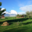 Clos masure du p'tit caux