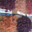 Confiture Nicolas Le Meur. Pâtes de fruits