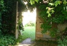 Entrez