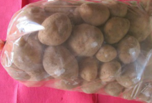 Ferme Cimetière. Pommes de terre bintje