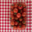 Cueillette du Tronquoy. Tomate cerise