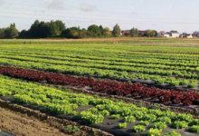 Ferme de Bonne Espérance