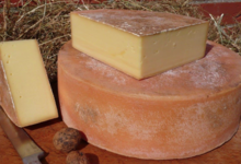 Ferme aux hirondelles. Fromage type gruyère bio