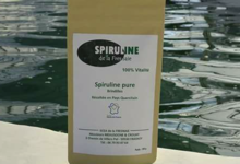 Spiruline de la Fresnaie 