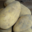 Au panier nature. Pommes de terre Annabelle 