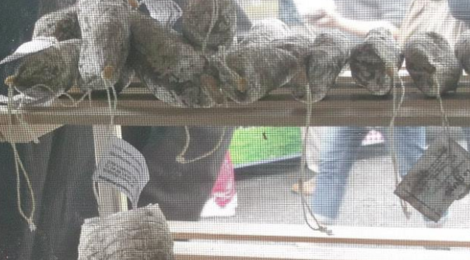 Ferme du Grand Porche. saucisson de boeuf