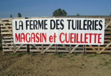 Ferme des tuileries
