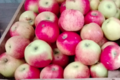 La ferme des Sablières. pommes jonagold