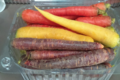 La ferme des Sablières. carottes