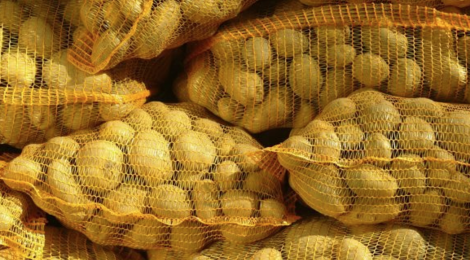 La Ferme Lefebvre. Pommes de terre