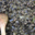 Escargots La maisonnette. poêlé d'escargots