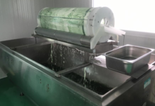 Spiruline de l'Amandinois