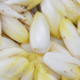 Endives