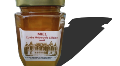 Miel toutes fleurs cuvée métropole Lilloise