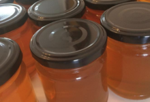 les mûres ont des abeilles