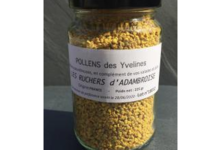 Les ruchers d'Adambroise. Pollen