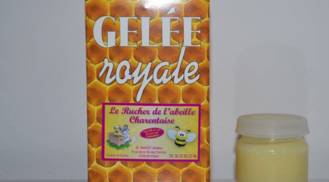 le rucher de l'abeille charentaise. Gelée royale