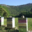 Les ruches de la Bastide de Castel Miel