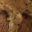 Boulangerie Planckaekt. Petit complet