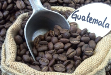 Maison Vayez torréfacteur. GUATEMALA, café 100% arabica