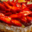 Boulangerie Roux. tarte aux fraises