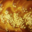 Boulangerie Basso. Brioche