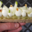 Boulangerie Utopie. Le Pomme Cardamome
