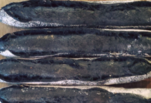 Boulangerie Utopie. Baguette Charbon Végétal