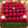 Chambelland. pistache framboise