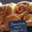 Boulangerie Patisserie l'Essentiel. Brioche citron framboise