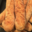 La belle vie sans gluten. baguettes sans gluten