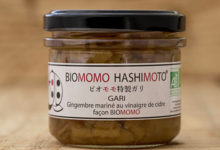 Biomomo Hashimoto. Gari