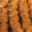 Florence Khan. croquets aux noisettes et à la cannelle