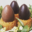 Maison Aleph. Oeufs de Pâques