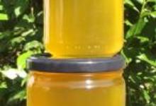 Miel de printemps - Pots de 250grs ou 500 grs
