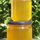 Miel de printemps - Pots de 250grs ou 500 grs