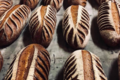 Boulangerie Trevisan. Pain