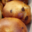 Boulangerie Pâtisserie Robert. Brioche pépite de chocolat